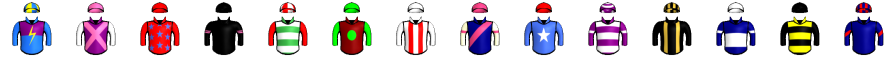 Runner silk