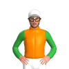 Jockey Silk
