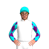 Jockey Silk