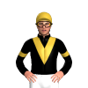 Jockey Silk