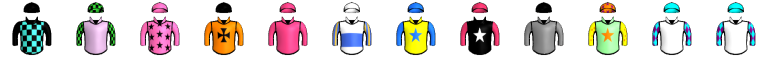 Runner silk