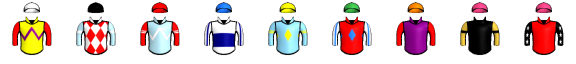 Runner silk