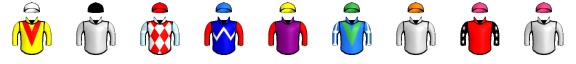Runner silk