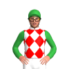 Jockey Silk