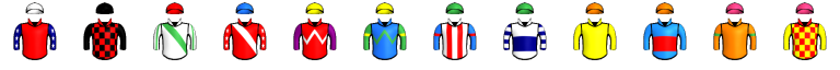 Runner silk