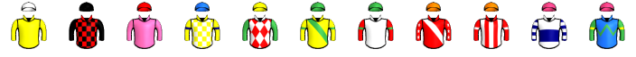 Runner silk
