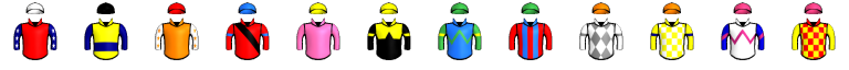 Runner silk