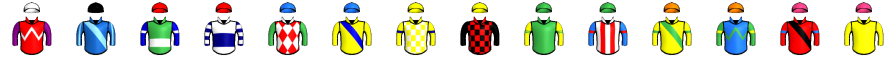 Runner silk