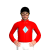 Jockey Silk