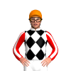 Jockey Silk