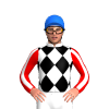 Jockey Silk