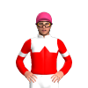 Jockey Silk