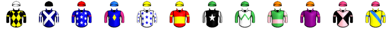 Runner silk