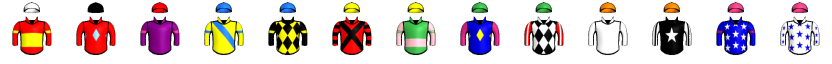 Runner silk
