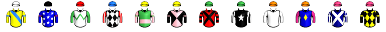 Runner silk