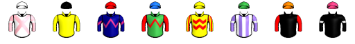 Runner silk