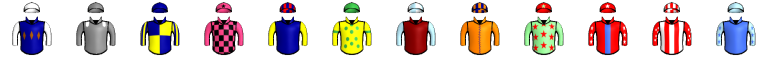 Runner silk