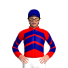 Jockey Silk