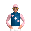 Jockey Silk
