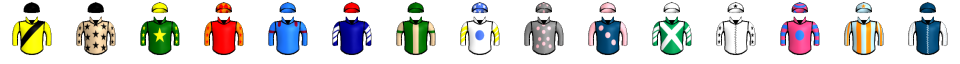 Runner silk