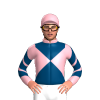 Jockey Silk
