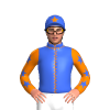 Jockey Silk