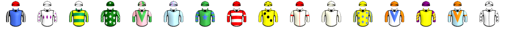 Runner silk