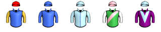 Runner silk
