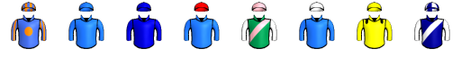 Runner silk