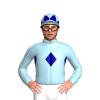 Jockey Silk