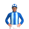 Jockey Silk