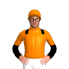 Jockey Silk