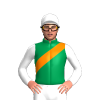 Jockey Silk