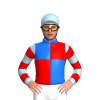 Jockey Silk