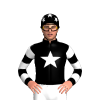 Jockey Silk