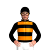 Jockey Silk