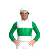 Jockey Silk
