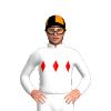 Jockey Silk