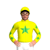 Jockey Silk