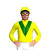 Jockey Silk