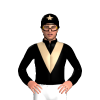 Jockey Silk