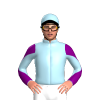 Jockey Silk