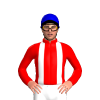 Jockey Silk