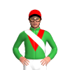 Jockey Silk