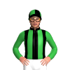 Jockey Silk