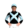 Jockey Silk