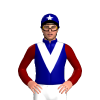 Jockey Silk