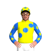 Jockey Silk