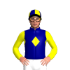 Jockey Silk