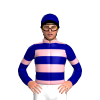 Jockey Silk